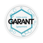 Saszetki nikotynowe GARANT (Grant) Molecule - Spearmint 20mg