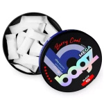 Saszetki nikotynowe BAGZ Berry Cool 6/6 BLACK MEGA