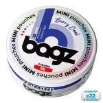 Saszetki nikotynowe BAGZ Berry Cool 3/6 STRONG MINI