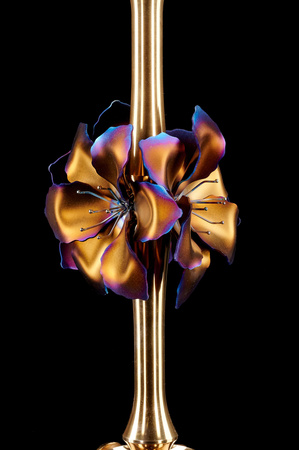 Fajka Wodna Maklaud Lily Gold