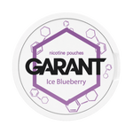 Saszetki nikotynowe GARANT (Grant) Molecule - Ice Blueberry 20mg