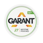 Никотиновые пакетики GARANT (Grant) Regular - Mango Lime 20mg