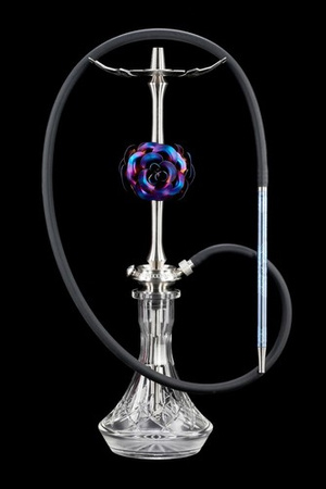 Shisha (Stem) Maklaud Rose