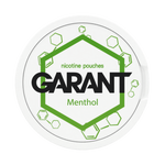 Saszetki nikotynowe GARANT (Grant) Molecule - Menthol 20mg