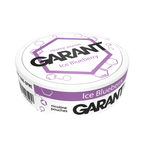 Saszetki nikotynowe GARANT (Grant) Molecule - Ice Blueberry 20mg