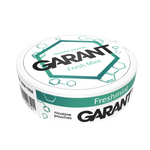 Saszetki nikotynowe GARANT (Grant) Molecule - Fresh Mint 20mg