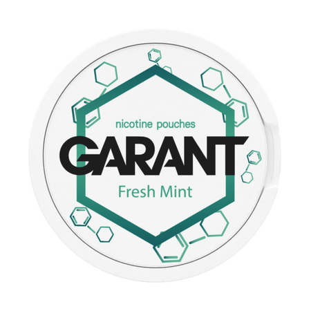 Никотиновые пакетики GARANT (Grant) Molecule - Fresh Mint 20mg