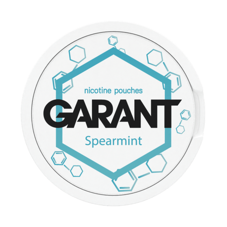 Saszetki nikotynowe GARANT (Grant) Molecule - Spearmint 20mg
